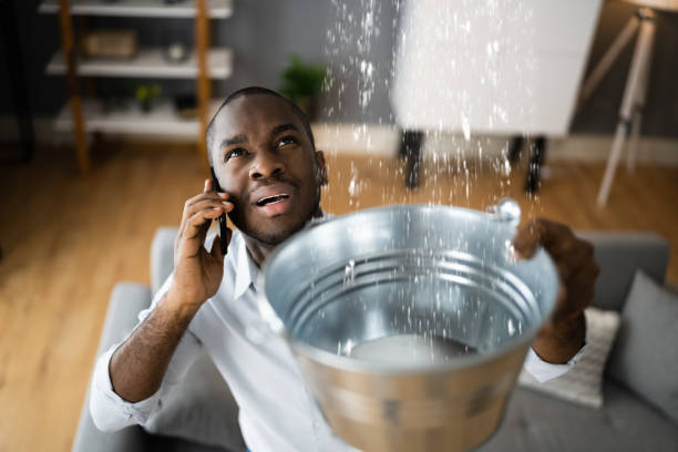 Best Flood restoration services  in Cadott, WI