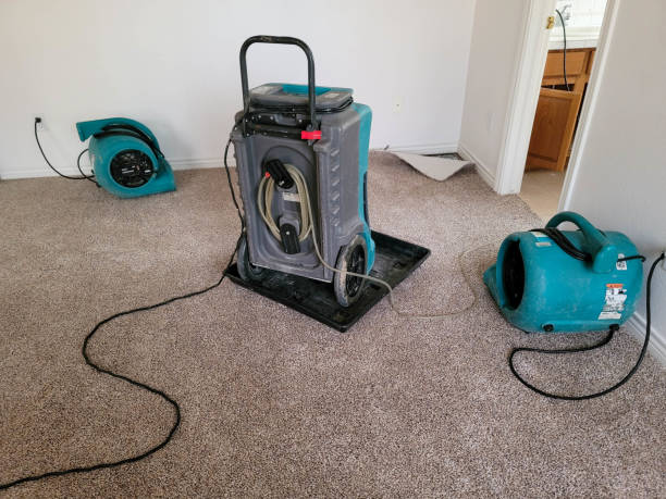 Best 24/7 water damage repair  in Cadott, WI