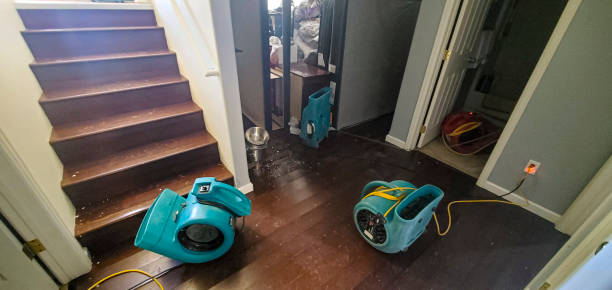 Best Water damage restoration process  in Cadott, WI