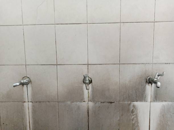 Best Commercial water damage restoration  in Cadott, WI