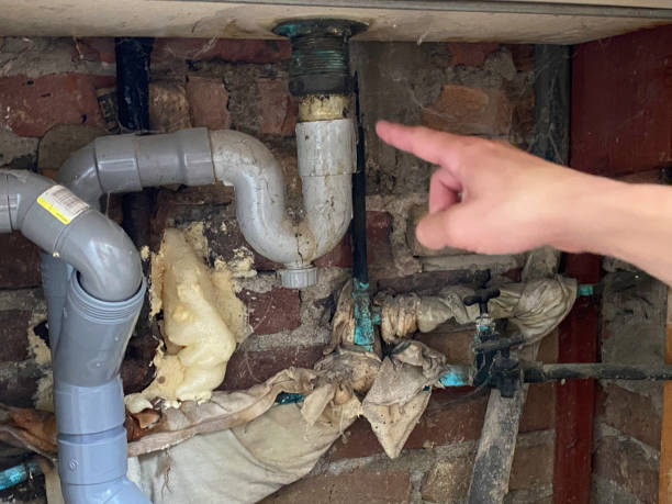  Cadott, WI Water damage restoration Pros
