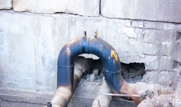 Best Water damage restoration near me  in Cadott, WI